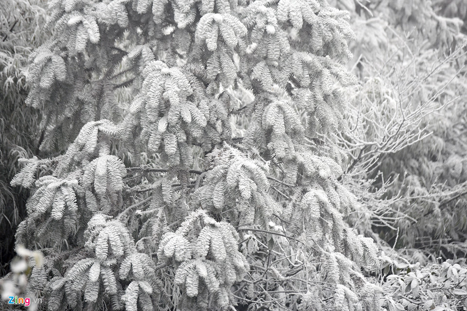 Toàn cảnh tuyết bao phủ trắng đường lên Sa Pa